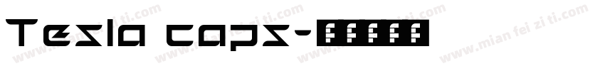 Tesla caps字体转换
